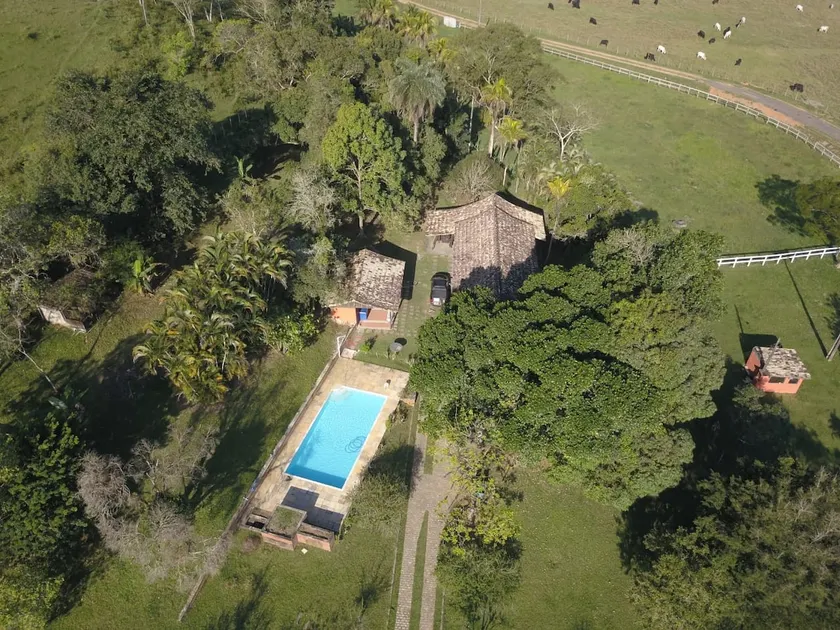 Haras dos querubins - Image 1