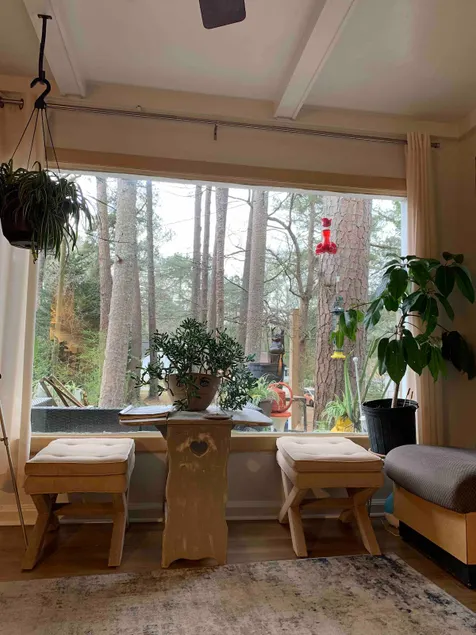 Juanito's Art and Nature Retreat - Image 1