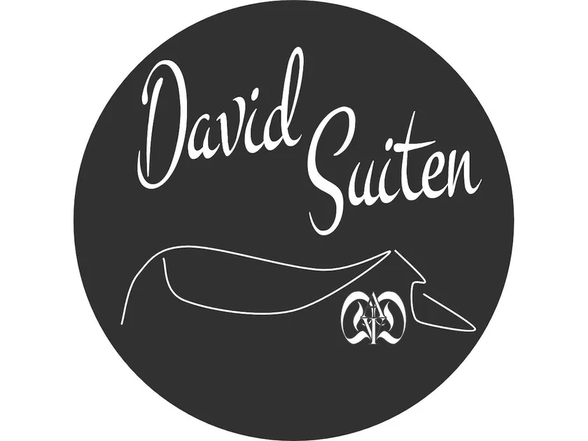 DAVID SUITEN - Image 1