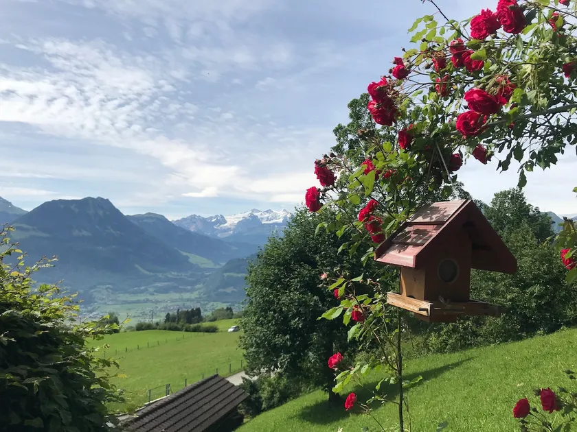 Visit Lucerne + Interlaken, enjoy view + coziness - Image 1