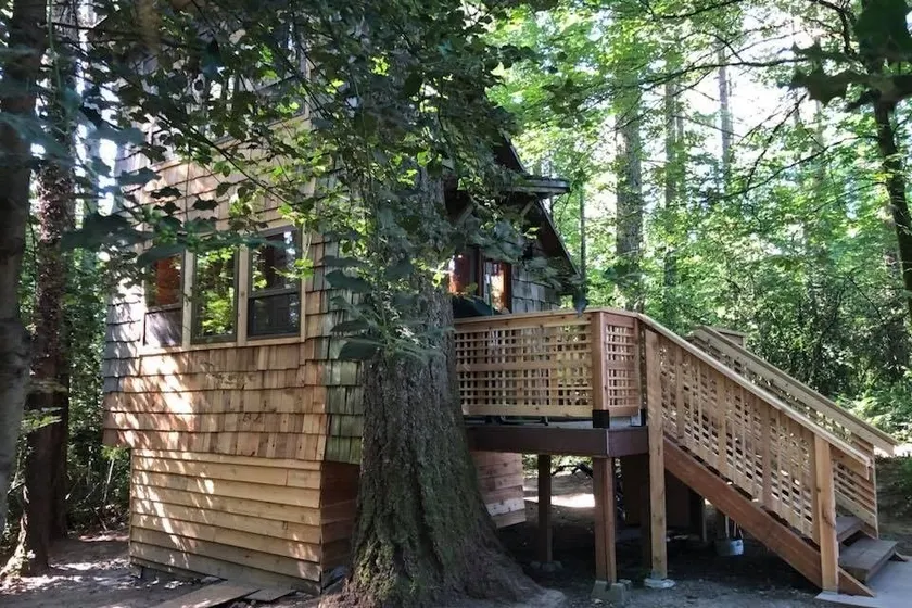Cooper Mountain Tiny Cabin - Image 1