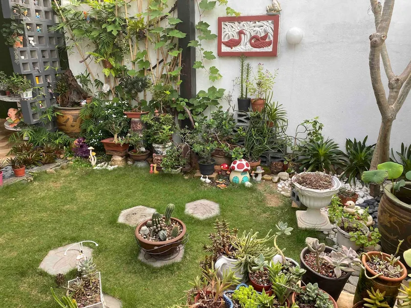 Beautiful House, Charming Garden Petaling Jaya, PJ - Image 1