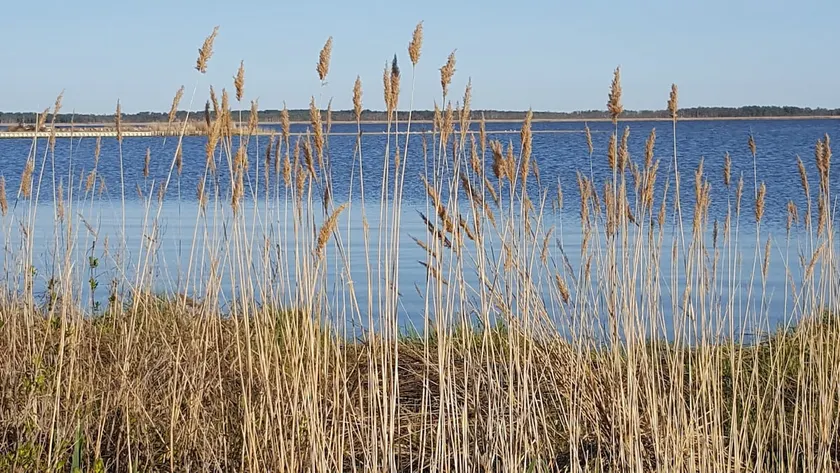 ISLAND SUNSETS Near Chincoteague Island - Image 1