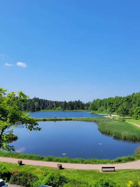 Vacation home in the Harz Mountains - Image 1