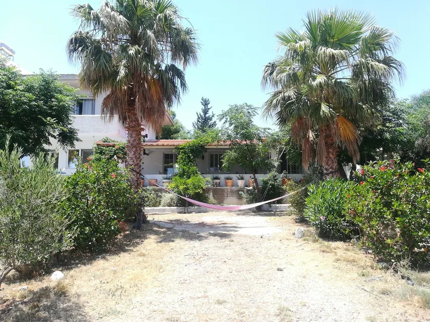 Olive Tree Farm House Sea View - Image 1