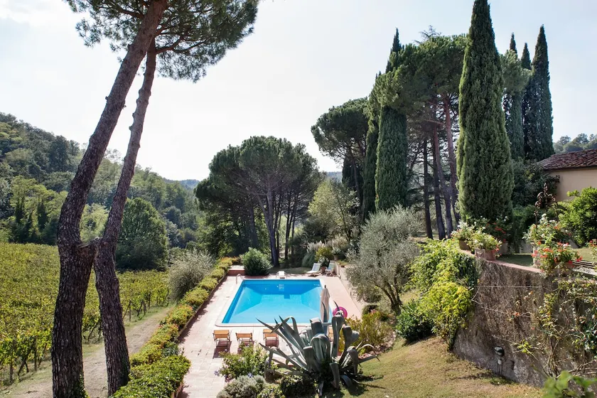 Luxe Estate nr Florence. Vineyard, Pool, Privacy - Image 1