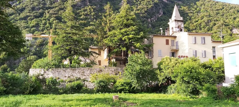 The Pines and the cherry tree near Rasiglia - Image 1