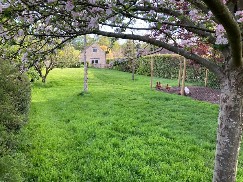 Country cottage in a Cotswold village - Image 1