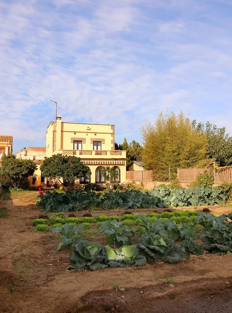 Cozy accommodation with patio, garden and barbecue - Image 1
