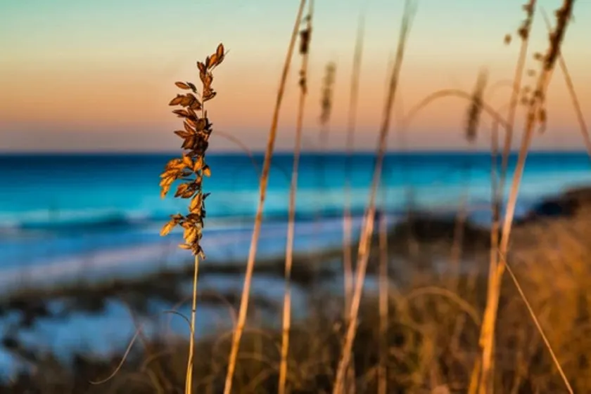 BEAUTIFULLY NEW DESIGNED CONDO CLOSE TO THE BEACH - Image 1