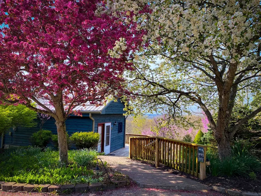 The Garden Suite at Treetop Retreat - Image 1