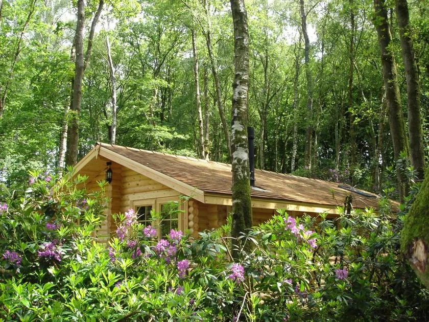 Hedgehog Lodge - Luxury Lodge with private hot tub - Image 1