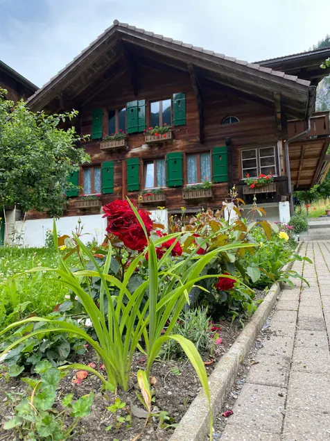 Charming apartment in a typical Swiss Chalet - Image 1