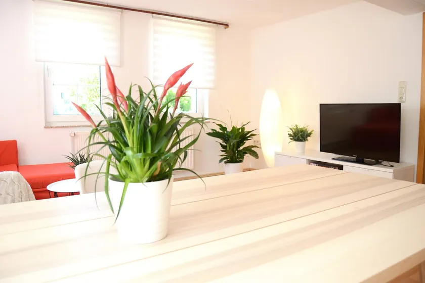 #Hoenepartment - time out in Waldhessen for up to 6 people - Image 1