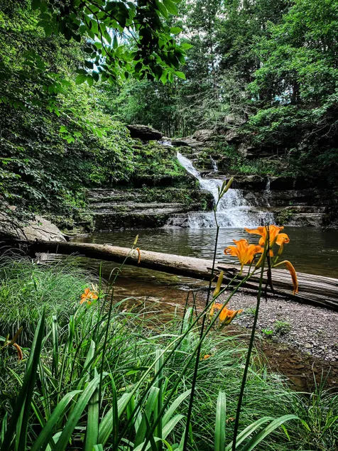 Catskills Getaway | Swings, Fire Pit, Games - Image 1