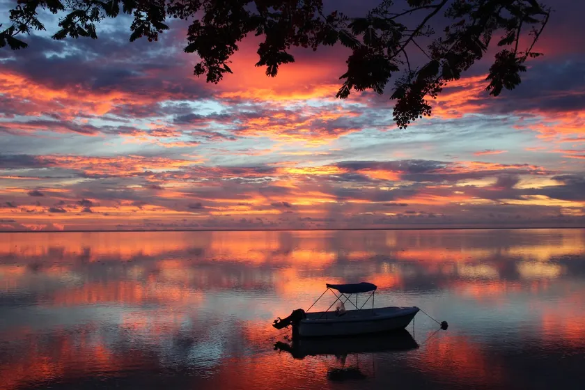 Rose Moorea- beach - Image 1