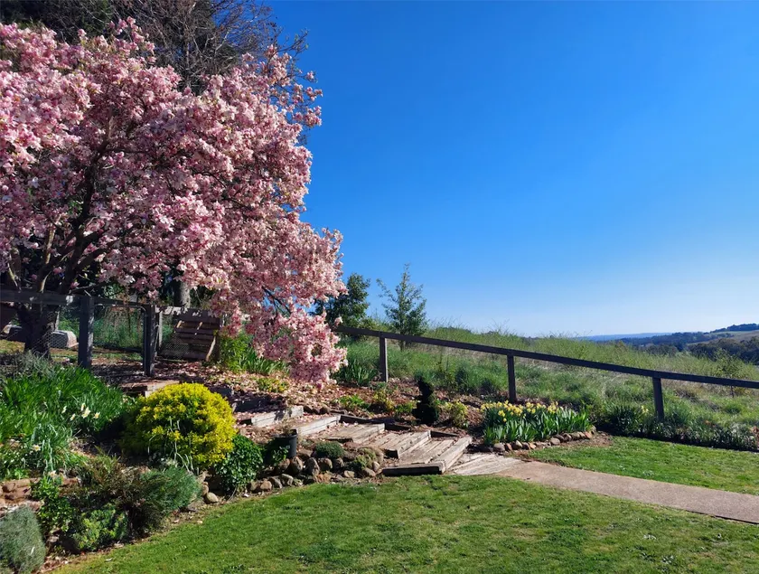 At Our Place | Mid-Century Orchard Cottage - Image 1