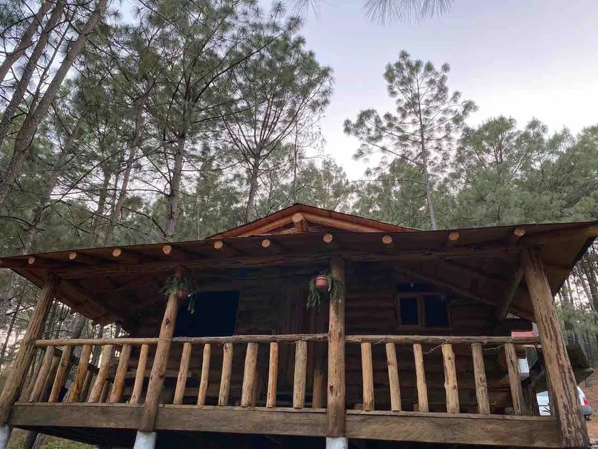 Cabin in the woods 3 - Image 1