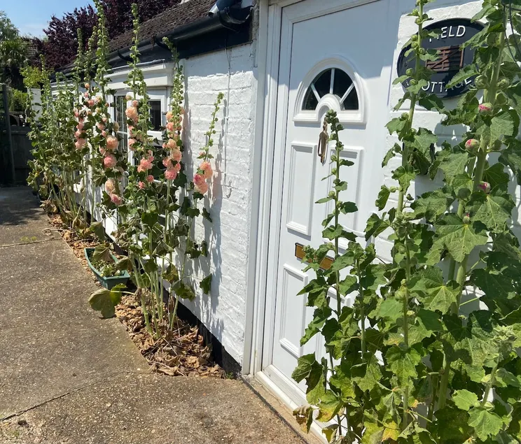 A unique hidden away Fen cottage in Whittlesey - Image 1