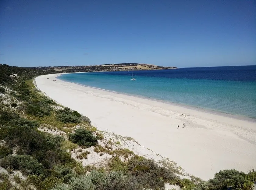Pine View Holiday Rental - Image 1