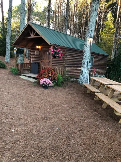 Cabin in the pines - Image 1