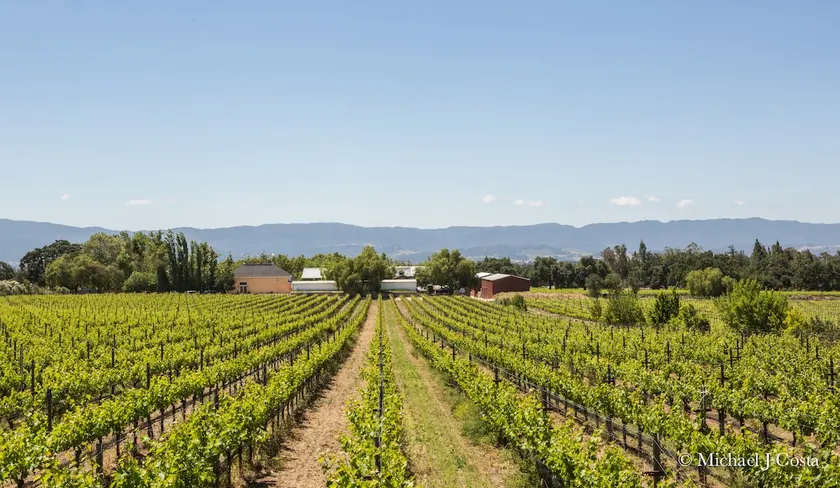Los Olivos Vineyard Home on Winery Estate - Image 1