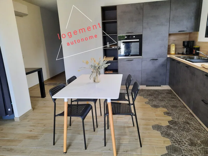 House La p'tite des Got, Air conditioning, Terrace & Parking - Image 1