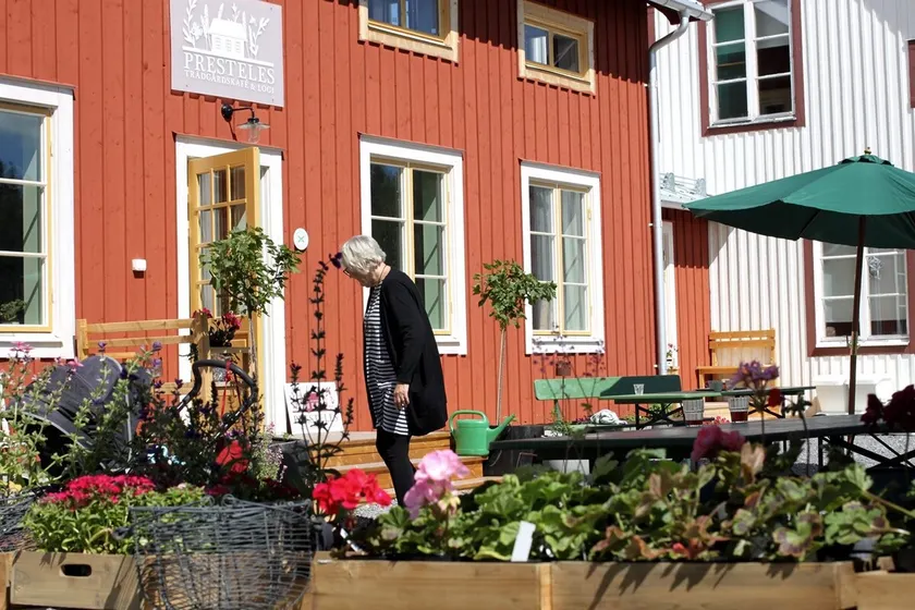 Presteles Gartencafe & Ferienwohnung Nordschweden - Image 1