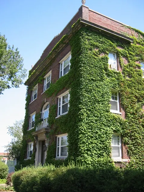 Historic Ausadie Mayor's 1 Bedroom 1~H - Image 1