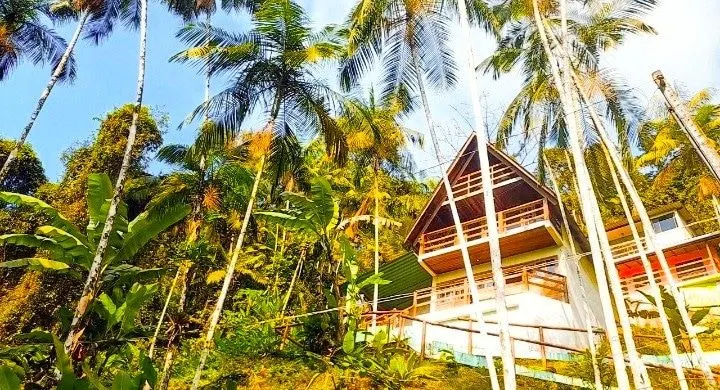 Eco-friendly chalet 2 - Image 1