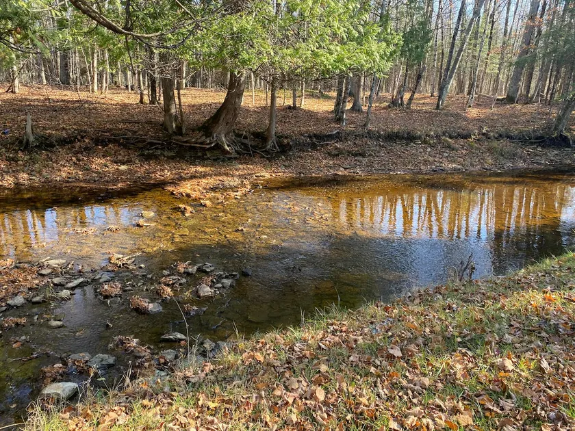 Glamping on the River - Image 1