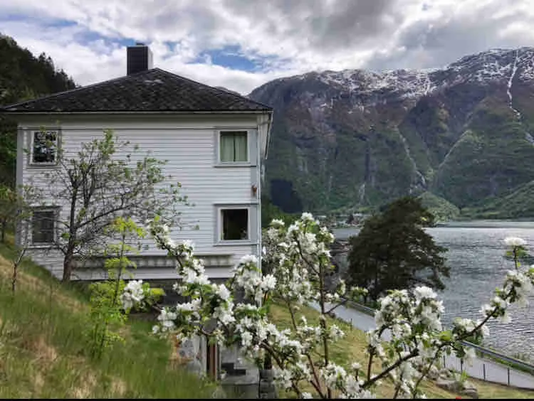Perfeckt view in Hardanger,Norway ! - Image 1