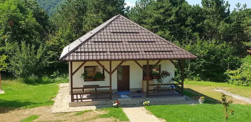Limpedea Green house with pool Baia Mare city - Image 1