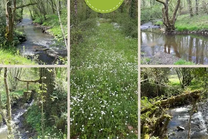 Le Moulin de la Forge: loft between woods and river - Image 1