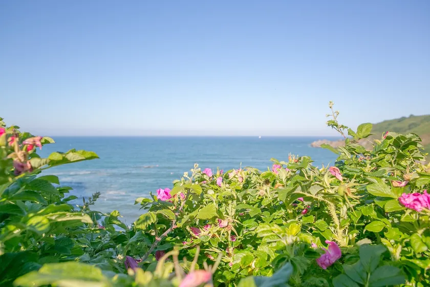 Beachside Home on SW coast path, Lizard Peninsula - Image 1
