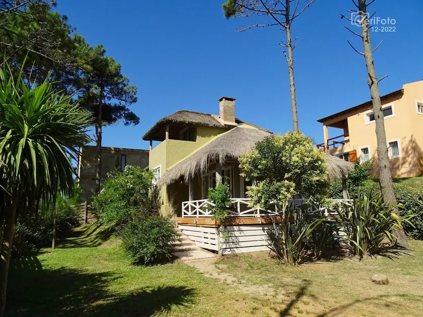Ernestina - Image 1