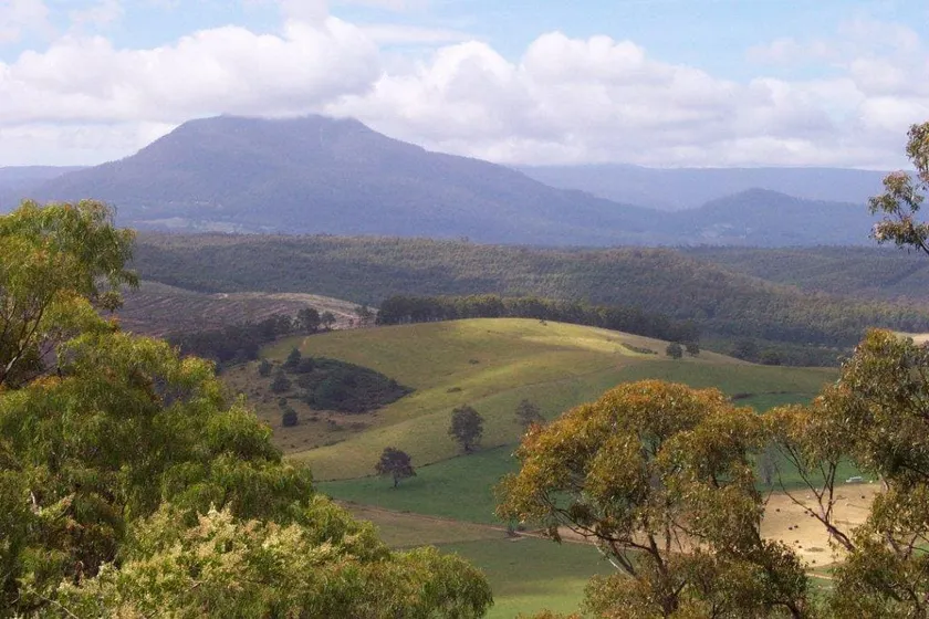 Meandering - Image 1