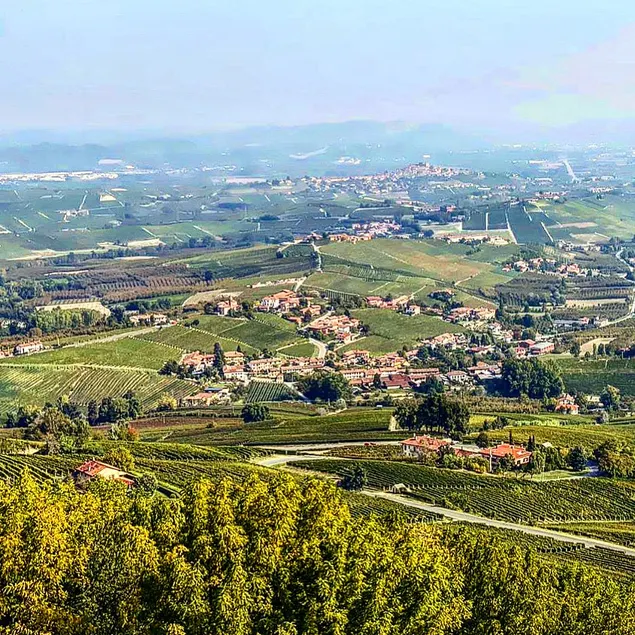 La Vista Barolo in La Morra - Image 1