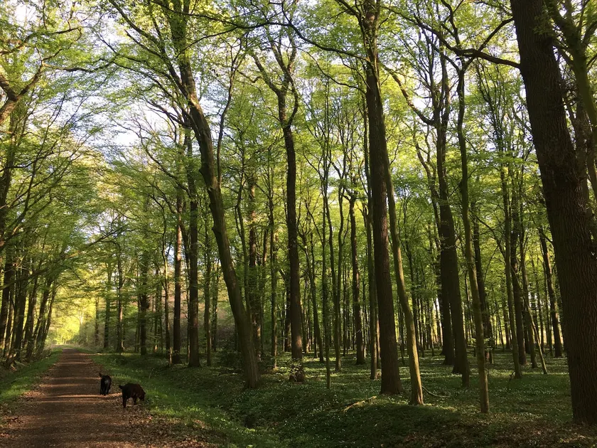 A feel-good place near Münster - Image 1