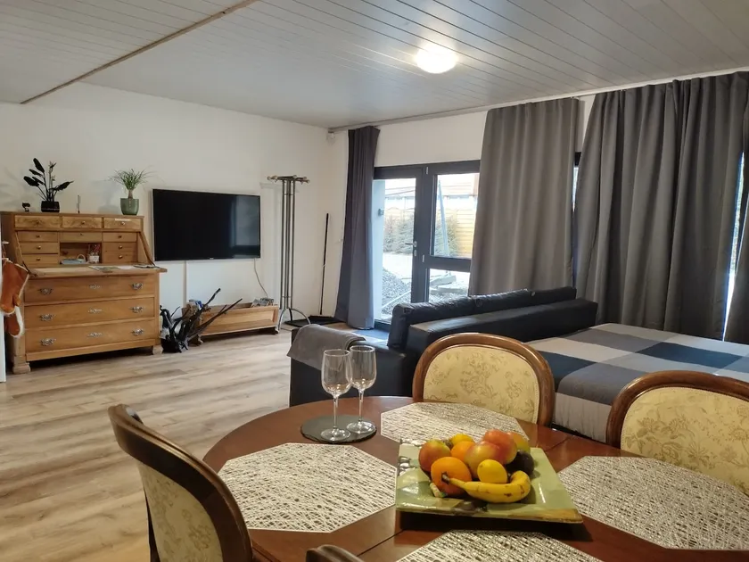 Spacious studio 38 m2 - Image 1
