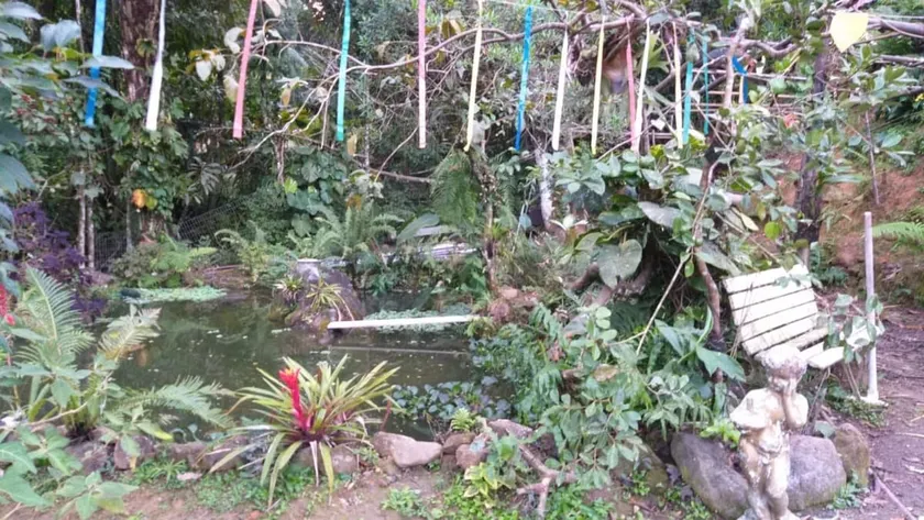 Beach house amid the exuberant nature of Juréia - Image 1