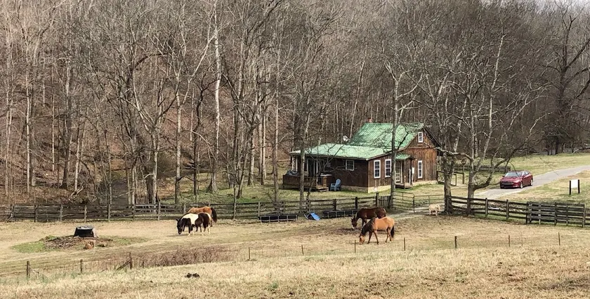 Nashville Area Country Cabin/Coyote Creek - Image 1