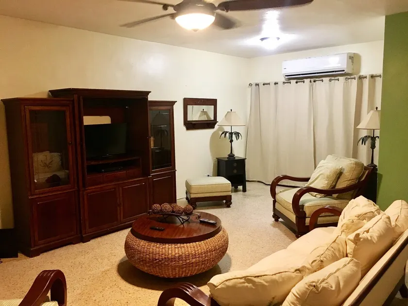 Coamo Downtown Apartment - Image 1