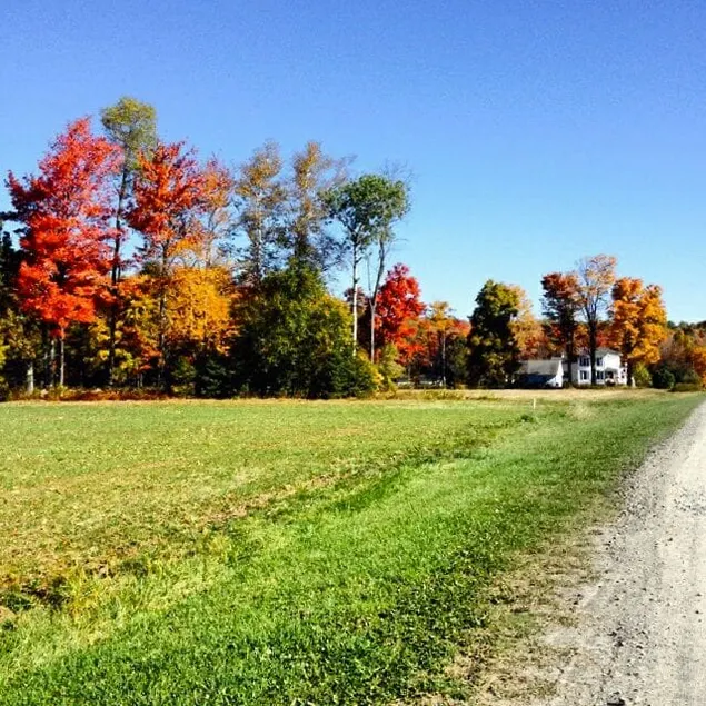 5br Mountain Retreat 130 acre Farm - Image 1