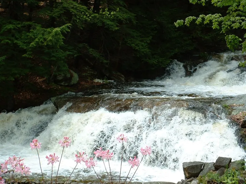 Cottage beside a waterfall - Image 1