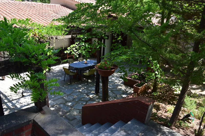 Filyra Forest House - Image 1