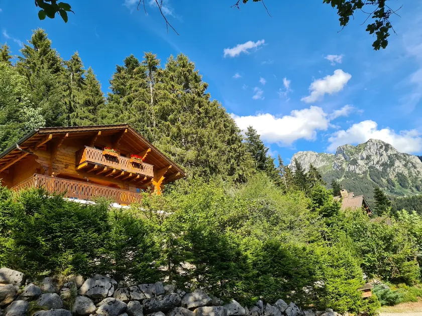 Chalet de charme, entre lac et montagne - Image 1