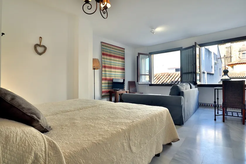 Superior apartment in Plaza del Potro - Image 1