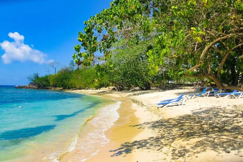 Irie Vibes Ocean View - Image 1