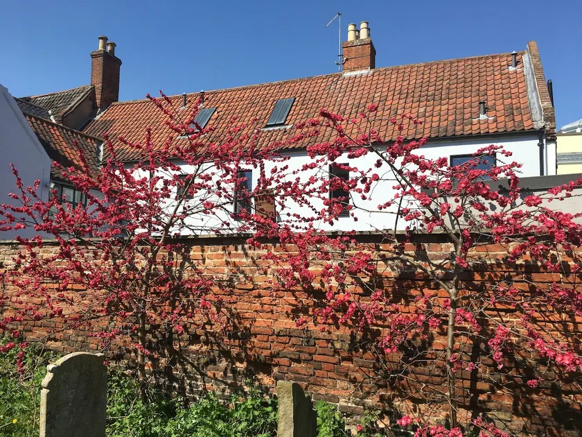 Church View Bungay - Image 1